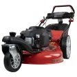 95613 | Rasenmäher BIG WHEELER 554.2 R TRIKE