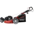 95613 | Rasenmäher BIG WHEELER 554.2 R TRIKE