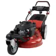 95613 | Rasenmäher BIG WHEELER 554.2 R TRIKE