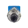 99999-D0001 Druckminderer 1/4