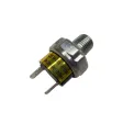 50089-01009 Druckschalter