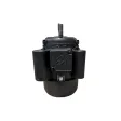 48130-02001 Motor 220 V/550W