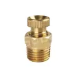 99999-00001 Ablassventil 1/4 Zoll
