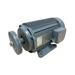 Motor Fertig 5,2 KW
