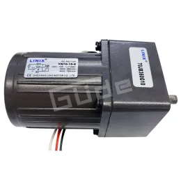 Schneckenmotor