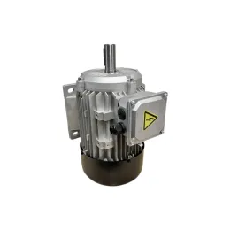 Motor 3 KW