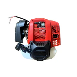 Motor 0,8 kW komplett