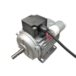 Motor