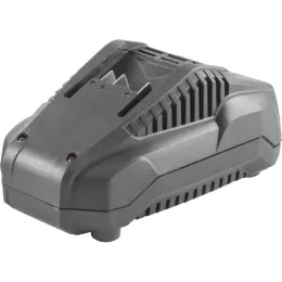 Ladegerät LG 20-35