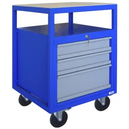 Rollwerkbank P 600 S