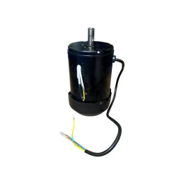 Motor 350W