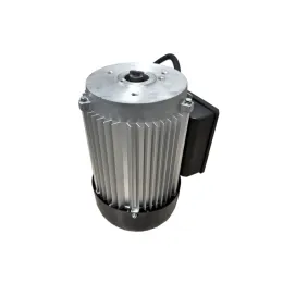 Elektromotor 230 V