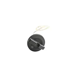 Benzintankdeckel