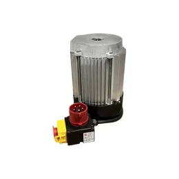 Elektromotor