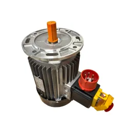 Motor 4 kW