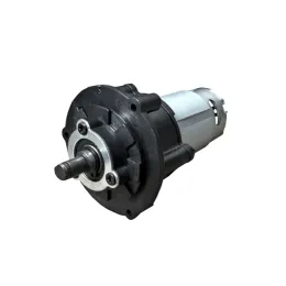 Motor inkl. Getriebe kpl.